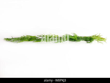 Grünen Grenze, Ökologie, Ernährung, Dill. Isolierte grüne Linie für Design, weißer Hintergrund, modern. Stockfoto