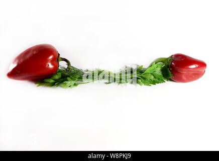 Grünen Grenze, Ökologie, Ernährung, Dill. Isolierte grüne Linie für Design, weißer Hintergrund, modern. Stockfoto