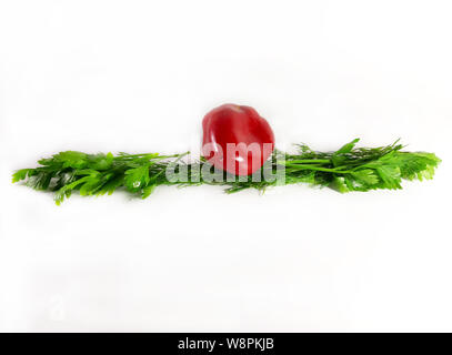 Grünen Grenze, Ökologie, Ernährung, Dill. Isolierte grüne Linie für Design, weißer Hintergrund, modern. Stockfoto