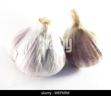 Knoblauch isoliert, tolles Design für irgendwelche Zwecke. Weißes design Hintergrund. Vegetarisches Essen. Aromatische Würze Stockfoto