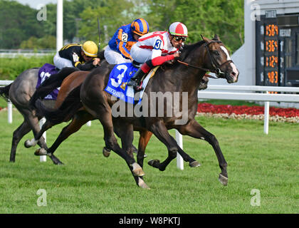 August 10, 2019, Arlington Heights, IL, USA: August 10, 2019: Ziegel und Mörtel, von Chad Brown geschult, gewinnt die Arlington Million (G1) am Arlington Park am 10 August, 2019 in Arlington Heights, IL. Jessica Morgan/ESW/CSM Credit: Cal Sport Media/Alamy leben Nachrichten Stockfoto