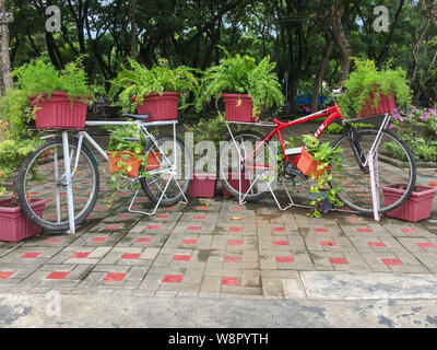 Juni 15, 2019 - Davao City Philippinen: Zwei rote Fahrräder mit Werken des Menschen Park in Davao City für Bild stationiert, die Stockfoto