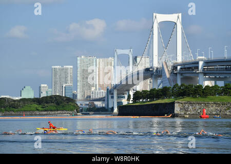 Tokio, Japan. Credit: MATSUO. 11 Aug, 2019. Allgemeine Ansicht Schwimmen: ständig bereit Tokio - Marathon Schwimmen in Odaiba in Tokio, Japan. Credit: MATSUO. K/LBA SPORT/Alamy leben Nachrichten Stockfoto