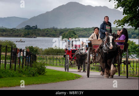 Irland Tourismus. Asiatische japanische Touristen Spaß beim Reiten zwei zweirädrigen Wagen oder Kutschfahrten für eine kurze Tour in den Killarney National Park Stockfoto