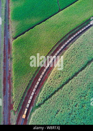 Antenne von Zuckerrohr Zug schleppen frisches Zuckerrohr zu den Isis Zentrale Mühle in der Nähe Childers Queensland Australien Stockfoto