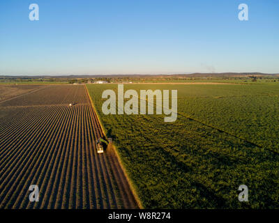 Antenne von mechanischen Zuckerrohr Ernte Maschinen bei der Arbeit mit der Ernte der Ernte bei Wallaville in der Nähe von Bundaberg Queensland Australien Stockfoto