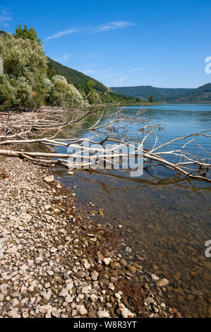 Vico See (Natur regionale Reserve), Viterbo, Latium, Italien Stockfoto