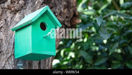 Vogelhaus. Vogel Nistkasten, lackiertem Holz in einem Stadtpark, Blur grünes Laub Hintergrund Kopie Raum Stockfoto