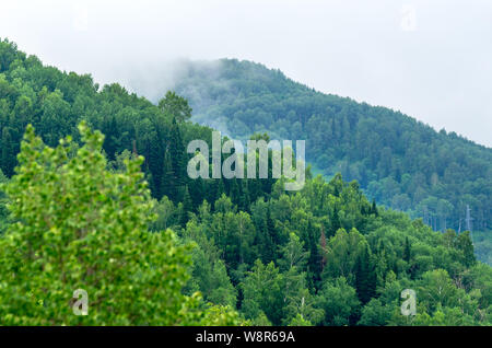 Berghänge von gemischten Nadel- und Laubwald auf einem nebligen Morgen Sommer mit Wolken fließen Niedrig durch die Gipfel. Altai Gebirge, Kasachen Stockfoto