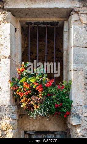 Steinfenster mit Blumen und Sicherheitsriegel Stockfoto