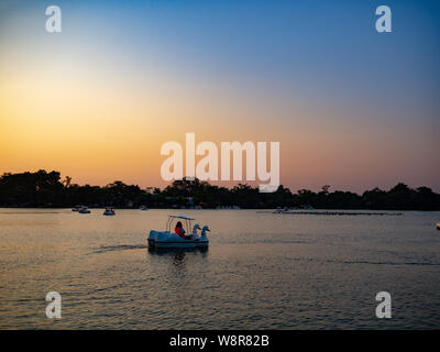 Frauen reiten Ente Tretboot ist in den Sonnenuntergang gesäumt. Wasser Fahrräder am See an einem sonnigen Herbsttag gesperrt. Aktive Erholung Objekte Stockfoto