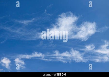 Feder Wolken vor blauem Himmel Stockfoto