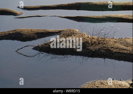 Schilf Stick aus dem Sand heraus, während die Flut in einer Flussmündung ist Stockfoto