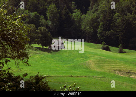 Alte Scheune am pulsierenden grünen Gras Wiese mit Blick auf den Wald. Ländliche Landschaft im Sommer in der Schweiz. Stockfoto
