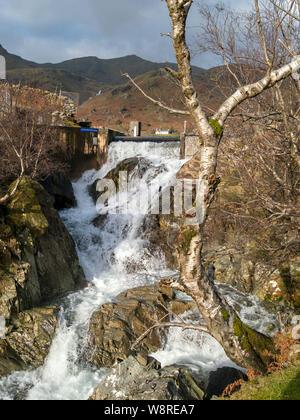 Staudamm und Wasserfall auf Hebeln Wasser Beck Coniston Hydro-Electric Scheme, Lake District, Cumbria, England, Vereinigtes Königreich Stockfoto