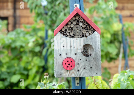 Kleinen hölzernen farbigen bug Hotel für Insekten in den Garten entfernt Stockfoto