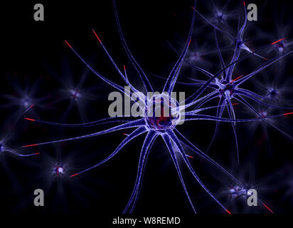 Neuronale Zellen, 3D-Darstellung auf schwarzem Hintergrund Stockfoto