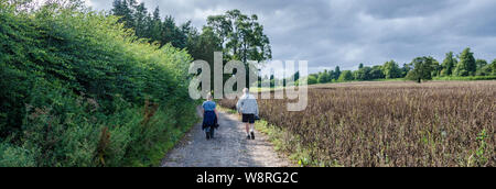 Ein paar Leute wundern sich entlang einem Feldweg Vergangenheit Felder in der South Staffordshire countrysde. Stockfoto