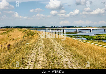 Fußweg aus haf öffnen Backsteinen auf einem grasbewachsenen Deich entlang Reevediep fllod Kanal in der Nähe von Kampen, Niederlande mit einem konkreten Bridge im Hintergrund Stockfoto