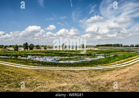 Geschwungene konkrete Radweg entlang der Feuchtgebiete in der IJseldelta Raum für den Fluss Zone in der Nähe von Kampen, Niederlande unter einem blauen Himmel mit flauschigen c Stockfoto