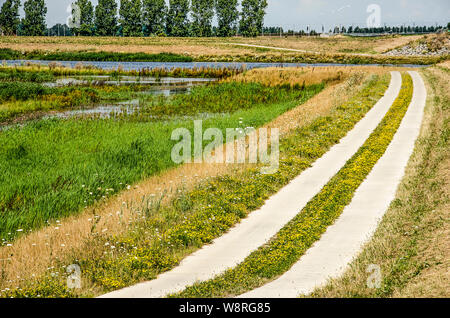 Radweg, bestehend aus zwei Reihen von Beton Fliesen durch einen Grünstreifen getrennt, entlang der Feuchtgebiete neben Reevediep Fluss Kanal in der Nähe von Kampen, T Stockfoto