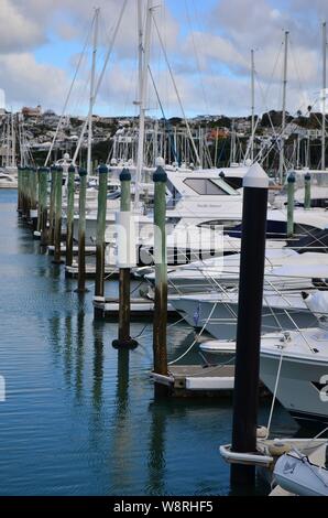 Die Stadt Auckland Westhaven Marina Stockfoto