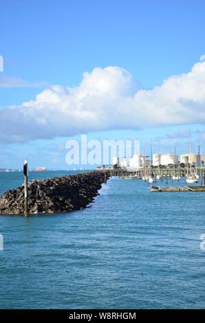 Silo Marina und Silo Park in Auckland, Neuseeland Stockfoto