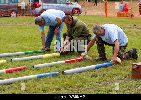 Sedlescombe, East Sussex, Großbritannien. 11 August 2019. Frettchenrennen. Foto: Paul Lawrenson/Alamy Live News Stockfoto