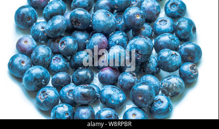 Heidelbeeren isoliert auf weiß mit Tropfen Wasser Stockfoto