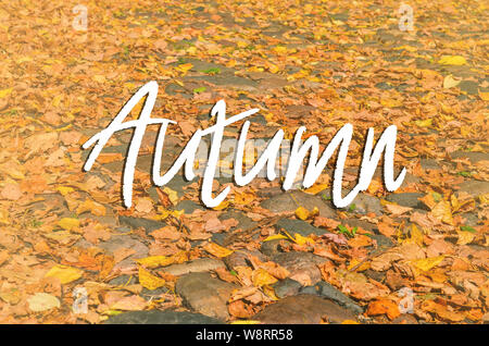 Herbst Straße in den Park. Trocken ahorn Blätter liegen auf der Straße mit Steinen ausgekleidet. Old Street. Hintergrund mit Text Herbst. Stockfoto