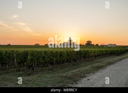 Sonnenuntergang über den Weinbergen von Montagne in der Nähe von Saint Emilion. Gironde, Aquitaine. Frankreich Stockfoto