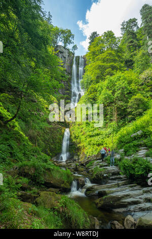 Der höchste Wasserfall in Wales am hellen Sommertag in Pistyll Rhaeadr, Großbritannien Stockfoto