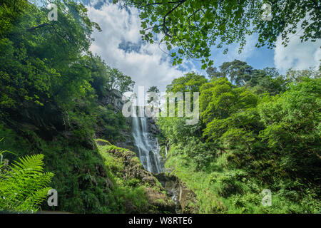 Blick durch grünen Zweigen und Farn in der höchste Wasserfall in Wales, Pistyll Raeadr, Großbritannien Stockfoto