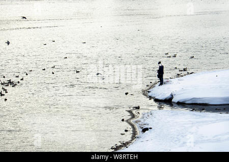 Ein paar Mann Frau dunkle Kleidung stehen auf der Winter verschneite Bank der Ungefrorene Fluss und Fütterung eine Herde von Enten Stockfoto