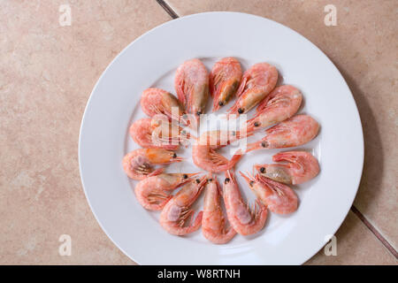 Gefroren rosa kleine Garnelen Garnelen Hummer auf eine weiße Platte. Köstliche Speisen Vorspeisen, Fisch und Meeresfrüchte Meeresfrüchte auftauen Raw kleine rosa Garnelen in der Schale mit Hea Stockfoto