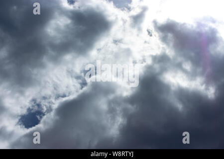 Vor dem Sturm Himmel mit dunklen Wolken, Dicke regen Bäume verdickte vor einem Gewitter. stürmischen Himmel. Dunkle Wolken verdickt im Himmel Stockfoto