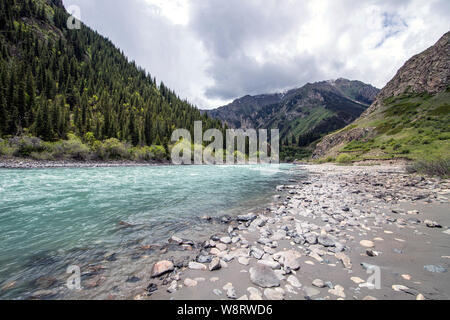 Mountain River mit türkisfarbenem Wasser mit einer Bank von grauem Kies Sand und Steine in verschiedenen Größen in eine Schlucht mit Nadelwald fließt. Stockfoto