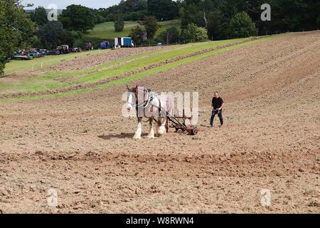 Sedlescombe, East Sussex, UK. 11 Aug, 2019. Ländliche Vergangenheit ist ein Land zeigen feiern alle Dinge ländlichen aus der Vergangenheit, die Veranstaltung beinhaltet vintage Traktor pflügen. Ziel der Show ist in der Geschichte der Landwirtschaft und andere Aspekte des ländlichen Lebens, das Handwerk, Kunsthandwerk und Cottage Industries zu suchen. Geld wird zur Unterstützung der lokalen Wohltätigkeitsorganisationen angehoben. © Paul Lawrenson 2019, Foto: Paul Lawrenson/Alamy leben Nachrichten Stockfoto