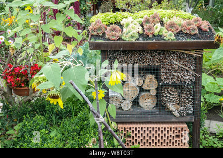 Ein bienenfreundliches Garteninsektenhotel, eine Kiste aus alten Zapfen, Baumstämmen, Ziegeln und mit Sukkulenten, die auf dem Dach eines Gartenbienenhotels wachsen Stockfoto