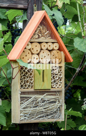 Garden bug Hotel, Haus für Solitäre Bienen, hängen in Grapevine Zweige Stockfoto