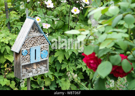 Garden bug Hotel, Haus für Insekten unter Garten Pflanzen Stockfoto