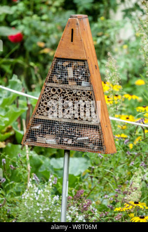 Garden Bee Hotel mit Blumen in der Nähe Nest wild einsamen Bienen, Insekten Stockfoto