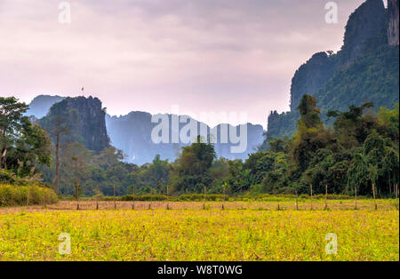 Malerische Karstlandschaft rund um Vang Vieng, Laos Stockfoto