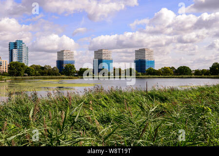 Woodberry Feuchtgebiete, London, UK. 11. August 2019. Sonnigen Tag an Woodberry Feuchtgebieten im Norden von London. Quelle: Matthew Chattle/Alamy leben Nachrichten Stockfoto