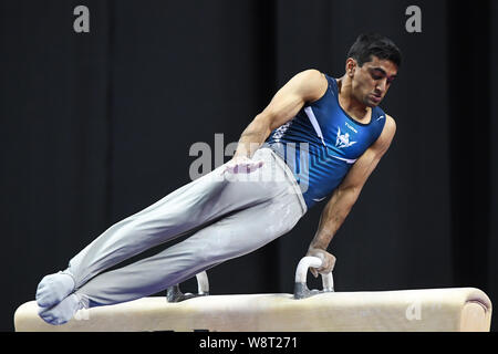 Kansas City, Missouri, USA. 10 Aug, 2019. AKASH MODI konkurriert auf dem Pferd in den letzten Tag der Konkurrenz an den Sprint Center, Kansas City, Missouri gehalten. Credit: Amy Sanderson/ZUMA Draht/Alamy leben Nachrichten Stockfoto