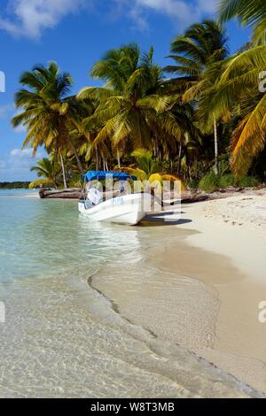 Boot auf Palm Beach, Parque Nacional del Este, Dominikanische Republik Stockfoto