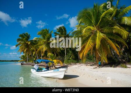 Boot auf Palm Beach, Parque Nacional del Este, Dominikanische Republik Stockfoto