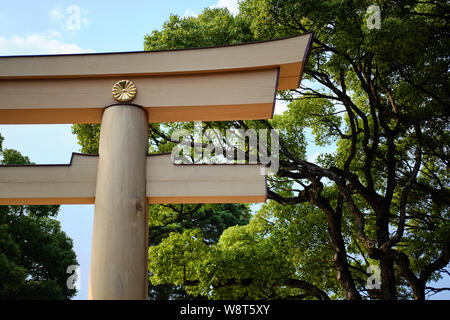 Tokio/Japan - 1. August 2019: Torii Tor am Eingang der Meiji Shinto Schrein im Yoyogi Park, Tokio Stockfoto