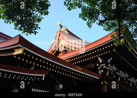 Tokio/Japan - 1. August 2019: Meiji Shinto Schrein im Yoyogi Park, Tokio Stockfoto