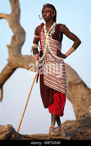 Maasai Krieger mit traditionellen Kopfschmuck und Halskette in Loitoktok, Kenia. Stockfoto